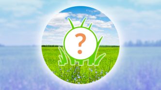 Upcoming Pokemon GO Spotlight Hours October 2024 Schedule