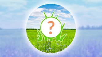 Upcoming Pokemon GO Spotlight Hours October 2024 Schedule