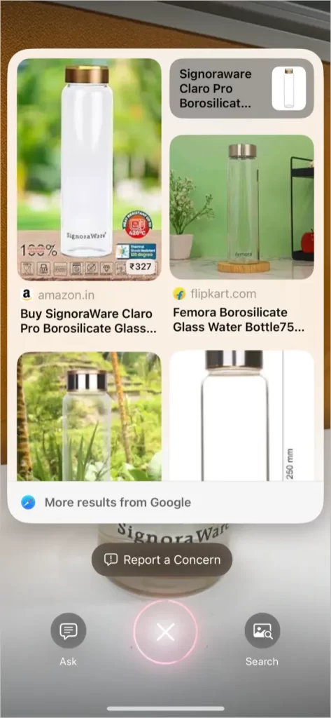 1729798503 219 How to Use Visual Intelligence on iPhone.webp