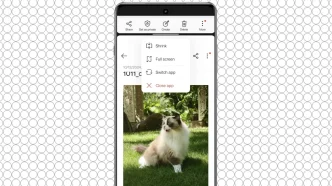 How to Use Open Canvas on OnePlus Phones.webp