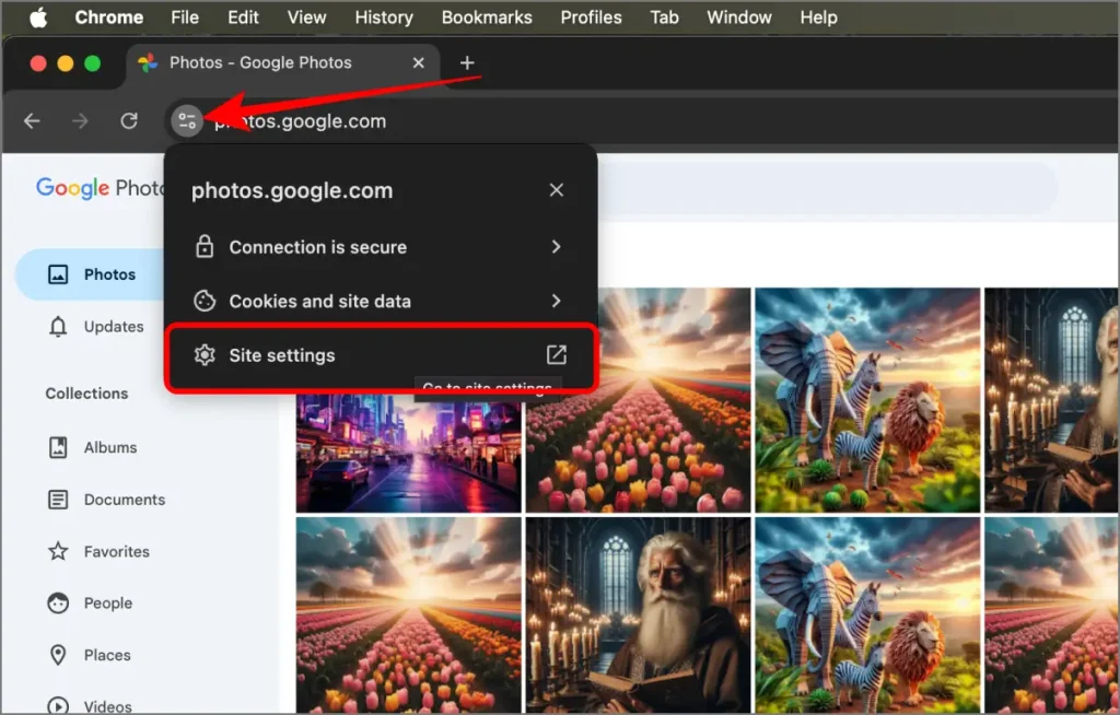 1739121845 476 Comment supprimer toutes les photos et vidéos de Google.webp