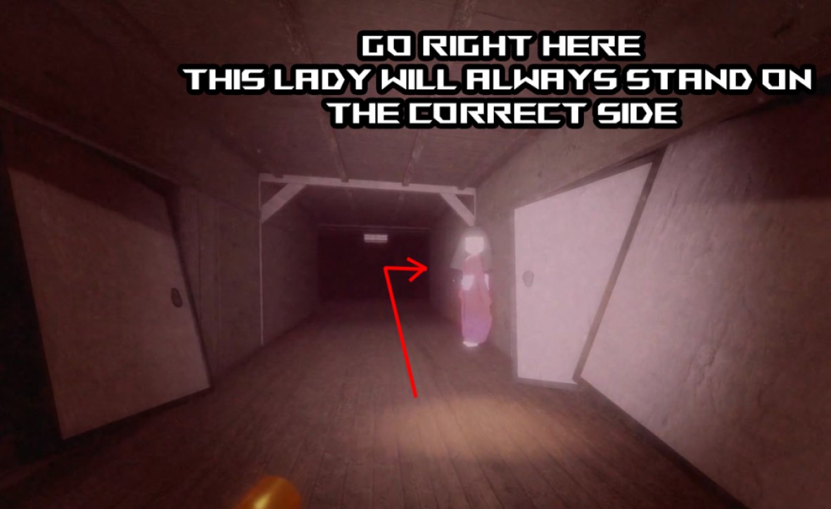 petapeta walkthrough level 6 direction