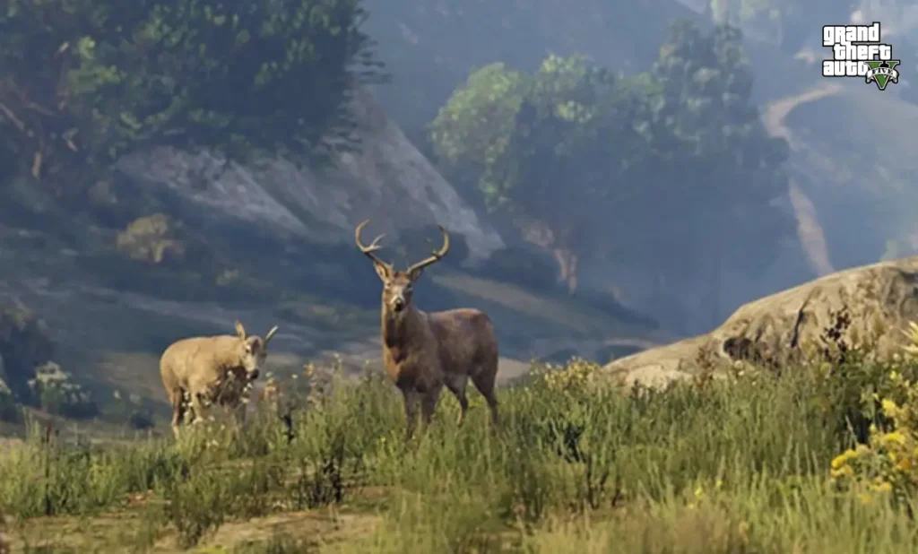 1746961692 533 GTA 5 VS GTA 6 Comparaison graphique 5 Superbes mises à niveau.