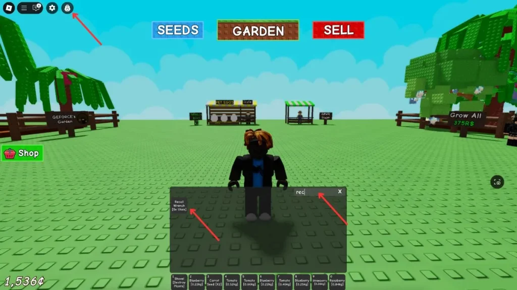Rappeler la clé à faire pousser un jardin (2)